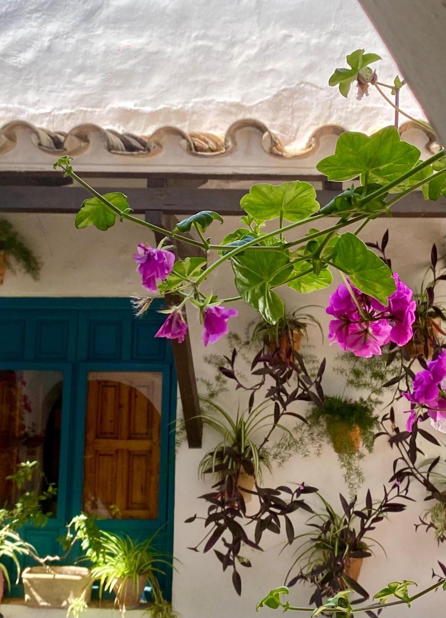 La Buganvilla De Santiago 코르도바 외부 사진