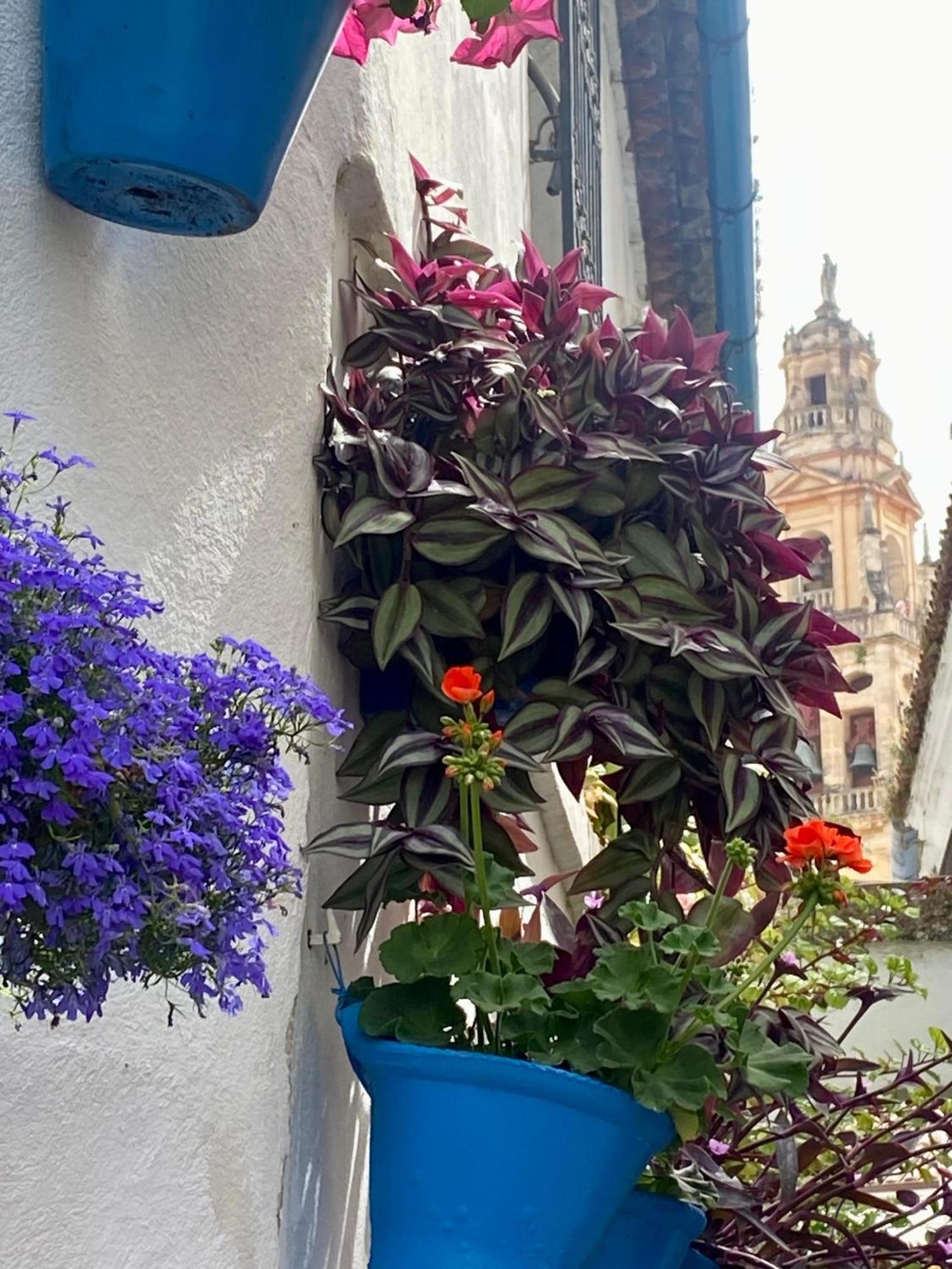 La Buganvilla De Santiago 코르도바 외부 사진