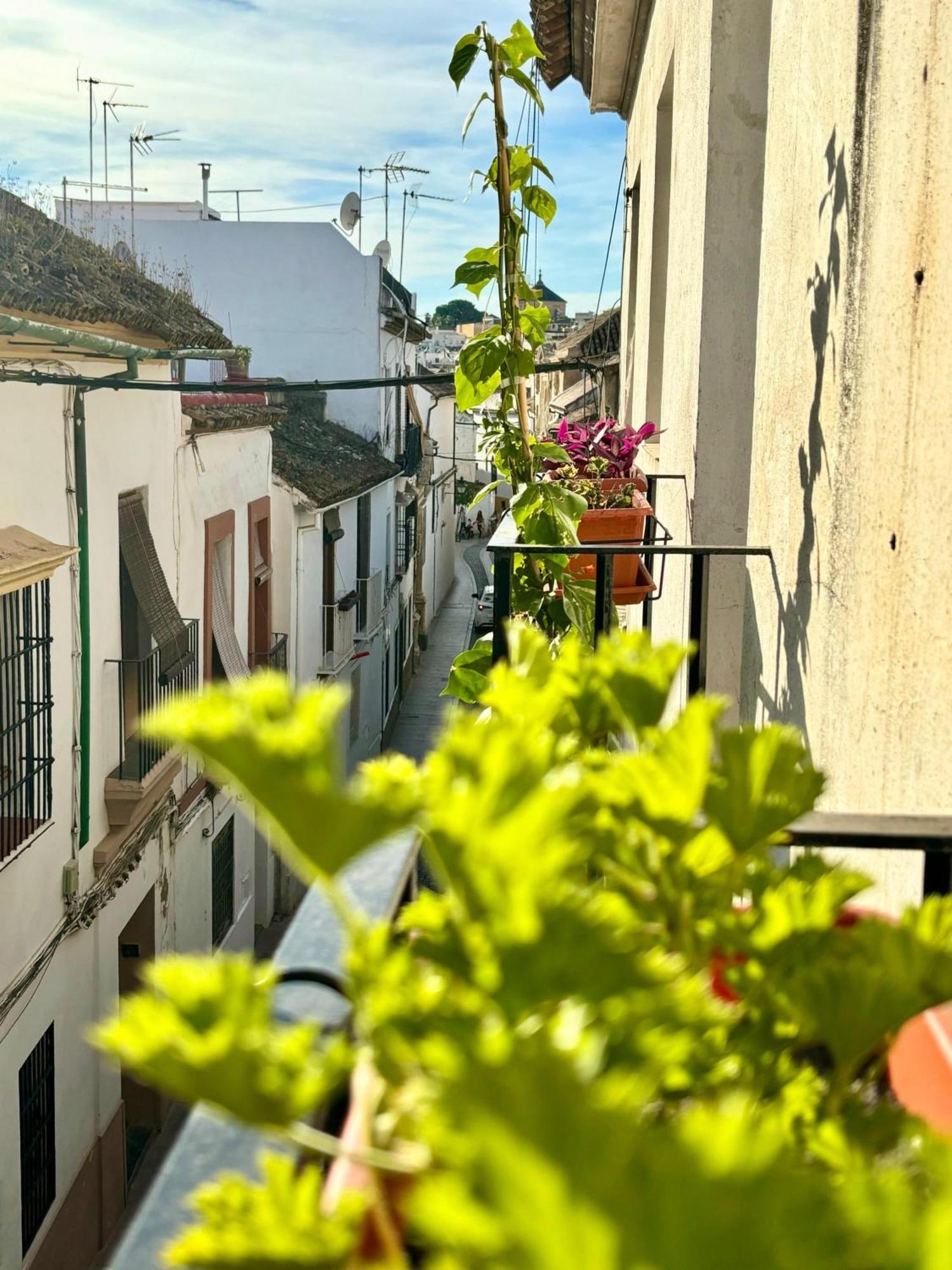 La Buganvilla De Santiago 코르도바 외부 사진